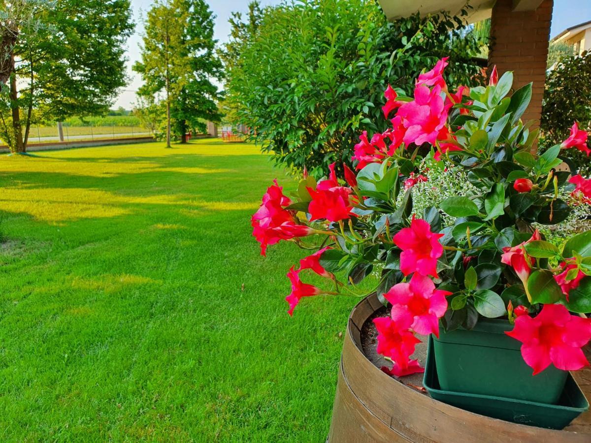 B&B Villalta Treviso Exterior foto